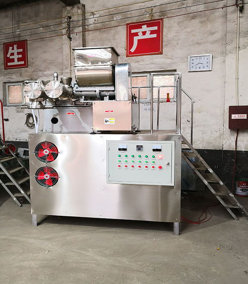 保山市多功能米線機(jī)性價比出眾源頭直供廠家 鞏義國銘機(jī)械